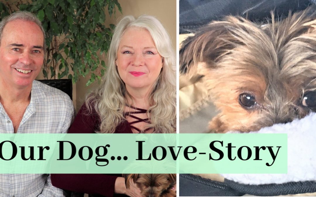 A Love Story About Our Dog