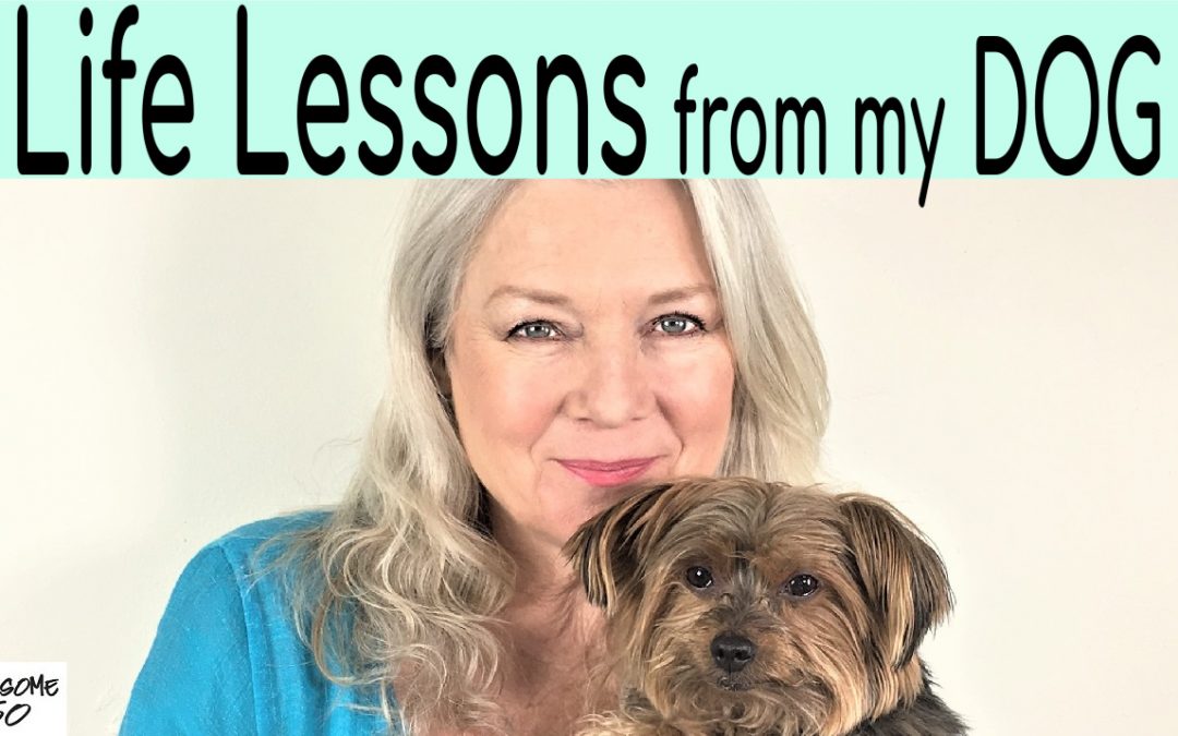 Life Lessons I Learned from my Dog