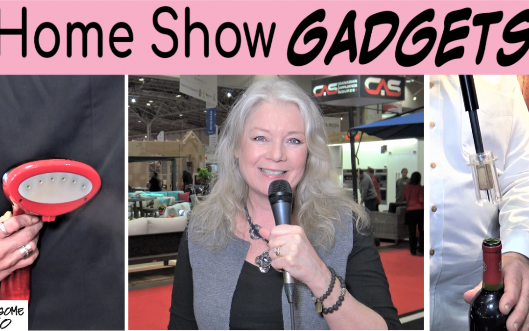 Gadgets & Gizmos at the Home Show